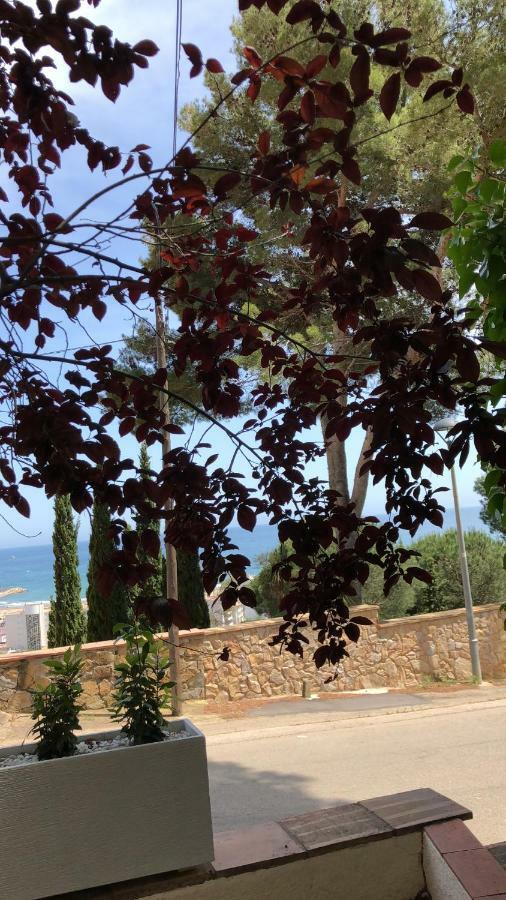 Mediterrania 98 Torroella De Montgri Bagian luar foto